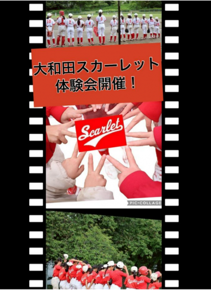 8月　体験会のお知らせです(*^-^*)